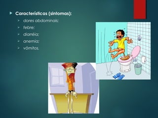  Características (sintomas):
 dores abdominais;
 febre;
 diarréia;
 anemia;
 vômitos.
 