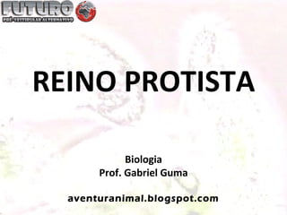 REINO PROTISTA

             Biologia
       Prof. Gabriel Guma

  aventuranimal.blogspot.com
 