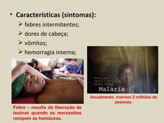 • Características (sintomas):
    febres intermitentes;
    dores de cabeça;
    vômitos;
    hemorragia interna;




                                   Anualmente, morrem 2 milhões de
                                              pessoas.
 Febre – resulta da liberação de
 toxinas quando os merozoítos
 rompem as hemáceas.
 