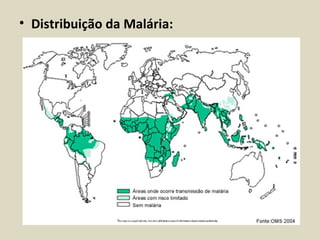 • Distribuição da Malária:
 