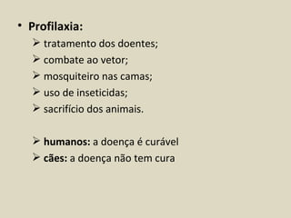• Profilaxia:
   tratamento dos doentes;
   combate ao vetor;
   mosquiteiro nas camas;
   uso de inseticidas;
   sacrifício dos animais.

   humanos: a doença é curável
   cães: a doença não tem cura
 