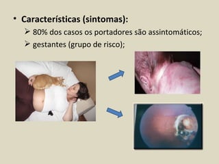 • Características (sintomas):
   80% dos casos os portadores são assintomáticos;
   gestantes (grupo de risco);
 