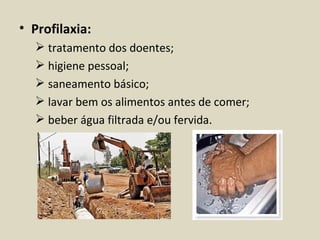 • Profilaxia:
   tratamento dos doentes;
   higiene pessoal;
   saneamento básico;
   lavar bem os alimentos antes de comer;
   beber água filtrada e/ou fervida.
 
