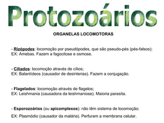ORGANELAS LOCOMOTORAS


- Rizópodes: locomoção por pseudópodes, que são pseudo-pés (pés-falsos);
EX: Amebas. Fazem a fagoc...