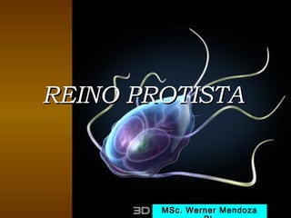 REINO PROTISTA



        MSc. Werner Mendoza
 