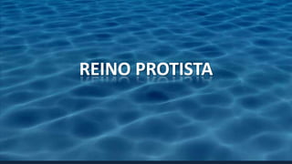 REINO PROTISTA
 