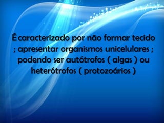 Écaracterizado por não formar tecido
; apresentar organismos unicelulares ;
podendo ser autótrofos ( algas ) ou
heterótrofos ( protozoários )
 