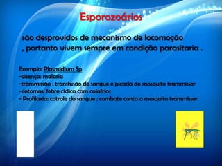 Esporozoários
são desprovidos de mecanismo de locomoção
, portanto vivem sempre em condição parasitaria .
Exemplo: Plasmidium Sp
-doença: malaria
-transmissão : transfusão de sangue e picada do mosquito transmissor
-sintomas: febre cíclica com calafrios
- Profilaxia: cotrole do sangue ; combate conta o mosquito transmissor
 