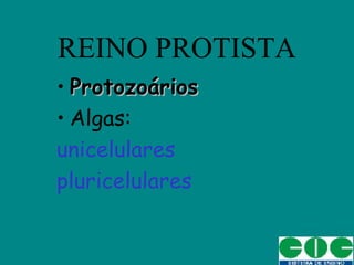 REINO PROTISTA
• ProtozoáriosProtozoários
• Algas:
unicelulares
pluricelulares
 