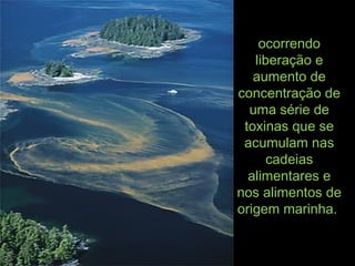 ocorrendoocorrendo
liberação eliberação e
aumento deaumento de
concentração deconcentração de
uma série deuma série de
toxinas que setoxinas que se
acumulam nasacumulam nas
cadeiascadeias
alimentares ealimentares e
nos alimentos denos alimentos de
origem marinha.origem marinha.
 