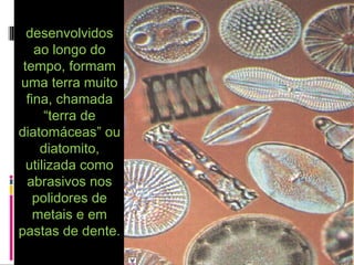 desenvolvidosdesenvolvidos
ao longo doao longo do
tempo, formamtempo, formam
uma terra muitouma terra muito
fina, chamadafina, chamada
“terra de“terra de
diatomáceas” oudiatomáceas” ou
diatomito,diatomito,
utilizada comoutilizada como
abrasivos nosabrasivos nos
polidores depolidores de
metais e emmetais e em
pastas de dente.pastas de dente.
 