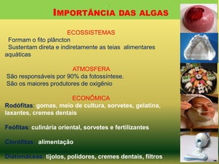 .

IMPORTÂNCIA

DAS ALGAS

ECOSSISTEMAS
Formam o fito plâncton
Sustentam direta e indiretamente as teias alimentares
aquáticas
ATMOSFERA
São responsáveis por 90% da fotossíntese.
São os maiores produtores de oxigênio
ECONÔMICA
Rodófitas: gomas, meio de cultura, sorvetes, gelatina,
laxantes, cremes dentais

Feófitas: culinária oriental, sorvetes e fertilizantes
Clorófitas: alimentação
Diatomáceas: tijolos, polidores, cremes dentais, filtros

 