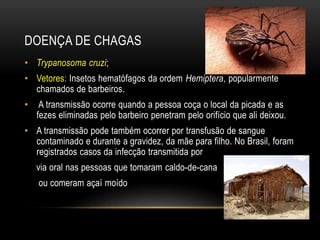 DOENÇA DE CHAGAS 
• Trypanosoma cruzi; 
• Vetores: Insetos hematófagos da ordem Hemiptera, popularmente 
chamados de barbeiros. 
• A transmissão ocorre quando a pessoa coça o local da picada e as 
fezes eliminadas pelo barbeiro penetram pelo orifício que ali deixou. 
• A transmissão pode também ocorrer por transfusão de sangue 
contaminado e durante a gravidez, da mãe para filho. No Brasil, foram 
registrados casos da infecção transmitida por 
via oral nas pessoas que tomaram caldo-de-cana 
ou comeram açaí moído 
 