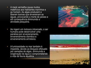 • A maré vermelha causa muitos 
malefícios aos habitantes marinhos e 
ao homem. As algas produzem e 
liberam toxinas que envenenam as 
águas, provocando a morte de peixes e 
em consequência diminuindo a 
atividade pesqueira. 
• Ao ingerir um molusco intoxicado, o ser 
humano pode desenvolver uma 
paralisia por envenenamento, 
envenenamento diarréico e 
envenenamento amnésico. 
• A luminosidade no mar também é 
impedida, devido ao bloqueio efetuado 
por camadas de algas, diminuindo a 
oxigenação da água e comprometendo 
a vida da fauna aquática. 
 