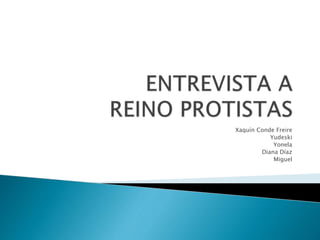 Xaquín Conde Freire
Yudeski
Yonela
Diana Díaz
Miguel
 