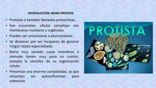 INTRODUCCIÓN: REINO PROTISTA
• Protistas o también llamados protoctistas.
• Son eucariotas- células complejas con
membrana...