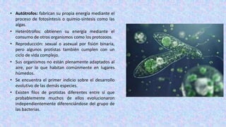 • Autótrofos: fabrican su propia energía mediante el
proceso de fotosíntesis o quimio-síntesis como las
algas.
• Heterótro...