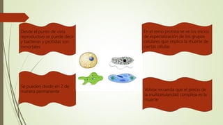 Desde el punto de vista
reproductivo se puede decir
y bacterias y protistas son
inmortales
Se pueden dividir en 2 de
manera permanente
En el reino protista se ve los inicios
de especialización de los grupos
celulares que implica la muerte de
ciertas células
Volvox recuerda que el precio de
la multicelularidad compleja es la
muerte
 