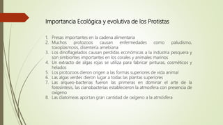 Importancia Ecológica y evolutiva de los Protistas
1. Presas importantes en la cadena alimentaria
2. Muchos protozoos causan enfermedades como paludismo,
toxoplasmosis, disentería amebiana
3. Los dinoflagelados causan perdidas económicas a la industria pesquera y
son simbiontes importantes en los corales y animales marinos
4. Un extracto de algas rojas se utiliza para fabricar pinturas, cosméticos y
helados
5. Los protozoos dieron origen a las formas superiores de vida animal
6. Las algas verdes dieron lugar a todas las plantas superiores
7. Las arqueo-bacterias fueron las primeras en dominar el arte de la
fotosíntesis, las cianobacterias establecieron la atmosfera con presencia de
oxígeno
8. Las diatomeas aportan gran cantidad de oxígeno a la atmósfera
 