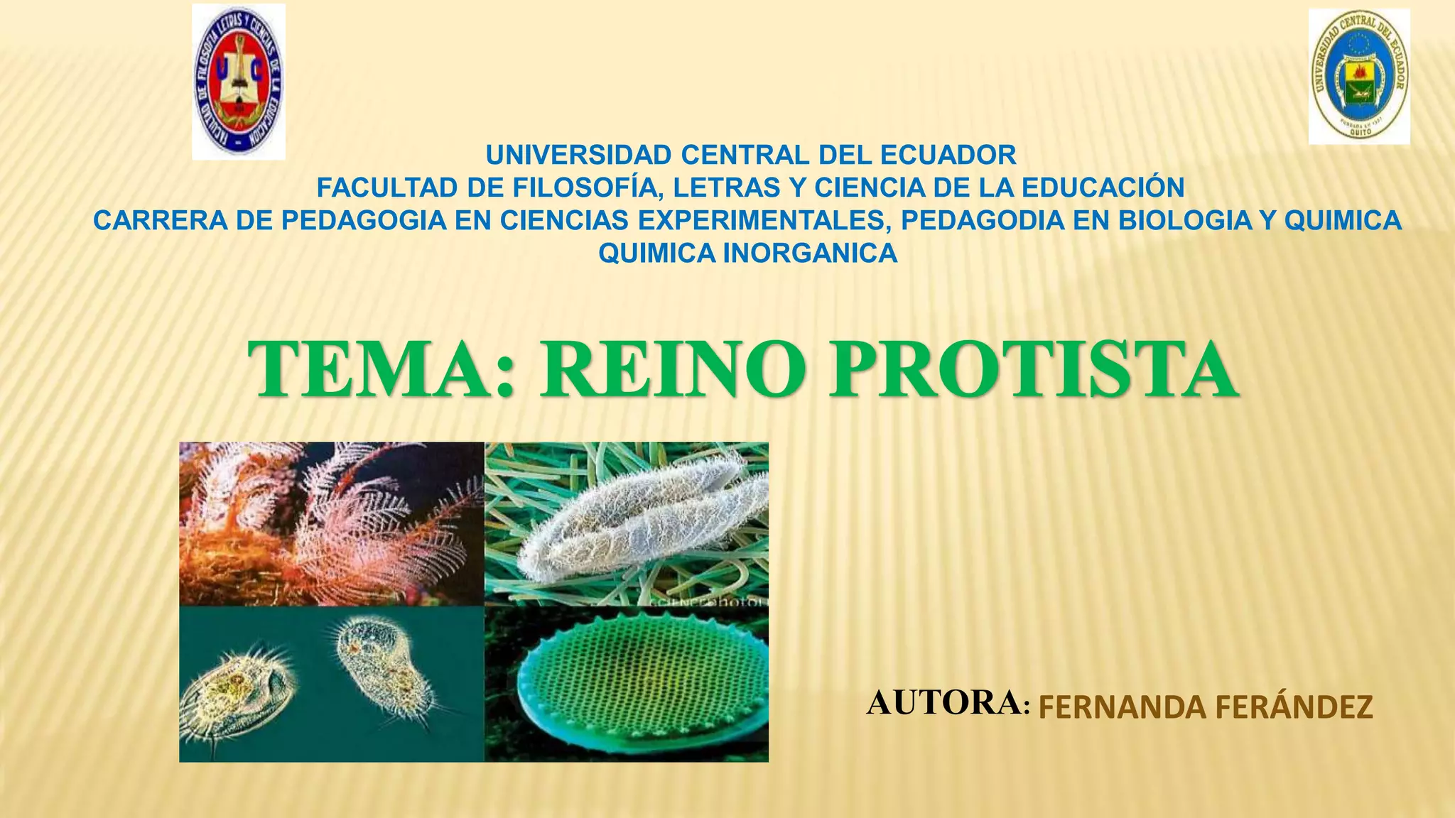 Reino protista | PPTX