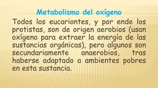 Metabolismo del oxígeno
Todos los eucariontes, y por ende los
protistas, son de origen aerobios (usan
oxígeno para extraer la energía de las
sustancias orgánicas), pero algunos son
secundariamente anaerobios, tras
haberse adaptado a ambientes pobres
en esta sustancia.
 