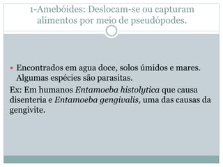 1-Amebóides: Deslocam-se ou capturam
alimentos por meio de pseudópodes.
 Encontrados em agua doce, solos úmidos e mares.
Algumas espécies são parasitas.
Ex: Em humanos Entamoeba histolytica que causa
disenteria e Entamoeba gengivalis, uma das causas da
gengivite.
 