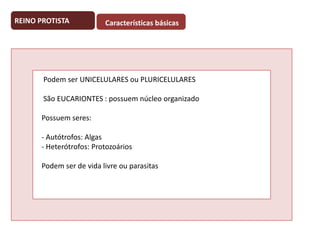 REINO PROTISTA

Características básicas

Podem ser UNICELULARES ou PLURICELULARES
São EUCARIONTES : possuem núcleo organizado
Possuem seres:
- Autótrofos: Algas
- Heterótrofos: Protozoários
Podem ser de vida livre ou parasitas

 