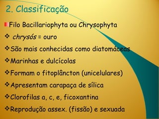 2. Classificação
 Filo Bacillariophyta ou Chrysophyta
 chrysós = ouro
São mais conhecidas como diatomáceas
Marinhas e dulcícolas
Formam o fitoplâncton (unicelulares)
Apresentam carapaça de sílica
Clorofilas a, c, e, ficoxantina
Reprodução assex. (fissão) e sexuada
 