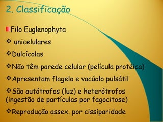 2. Classificação

 Filo Euglenophyta
 unicelulares
Dulcícolas
Não têm parede celular (película protéica)
Apresentam flagelo e vacúolo pulsátil
São autótrofos (luz) e heterótrofos
(ingestão de partículas por fagocitose)
Reprodução assex. por cissiparidade
 