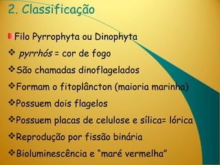 2. Classificação

 Filo Pyrrophyta ou Dinophyta
 pyrrhós = cor de fogo
São chamadas dinoflagelados
Formam o fitoplâncton (maioria marinha)
Possuem dois flagelos
Possuem placas de celulose e sílica= lórica
Reprodução por fissão binária
Bioluminescência e “maré vermelha”
 