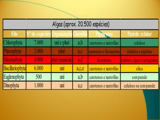 Algas (aprox. 20.500 espécies)
     Filo Nº de espécies OrganizaçãoClorofila Pigmentos                 Parede celular
Chlorophyta     7.000     uni e pluri a,b carotenos e xantofilas             celulose
Phaeophyta      2.000       pluri      a,c carotenos e ficoxantina celulose e arginina
Rhodophyta      4.000 pluri (maioria) a,d         ficoeritrina     celulose, ágar e carragenina
Bacillariophyta 6.000         uni     a,c,e carotenos e xantofilas             sílica
Euglenophyta     500          uni      a,b carotenos e xantofilas          sem parede
Dinophyta       1.000         uni      a,c carotenos e xantofilas celulose ou sem parede
 
