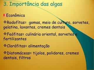 3. Importância das algas

 Econômica
Rodofítas= gomas, meio de cultura, sorvetes,
gelatina, laxantes, cremes dentais
Feófitas= culinária oriental, sorvetes e
fertilizantes
Clorófitas= alimentação
Diatomáceas= tijolos, polidores, cremes
dentais, filtros
 