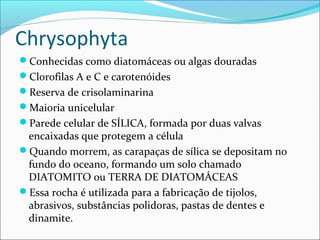 Chrysophyta
Conhecidas como diatomáceas ou algas douradas
Clorofilas A e C e carotenóides
Reserva de crisolaminarina
Maioria unicelular
Parede celular de SÍLICA, formada por duas valvas
encaixadas que protegem a célula
Quando morrem, as carapaças de sílica se depositam no
fundo do oceano, formando um solo chamado
DIATOMITO ou TERRA DE DIATOMÁCEAS
Essa rocha é utilizada para a fabricação de tijolos,
abrasivos, substâncias polidoras, pastas de dentes e
dinamite.
 