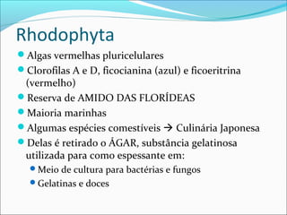 Rhodophyta
Algas vermelhas pluricelulares
Clorofilas A e D, ficocianina (azul) e ficoeritrina
(vermelho)
Reserva de AMIDO DAS FLORÍDEAS
Maioria marinhas
Algumas espécies comestíveis  Culinária Japonesa
Delas é retirado o ÁGAR, substância gelatinosa
utilizada para como espessante em:
Meio de cultura para bactérias e fungos
Gelatinas e doces
 