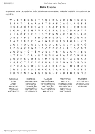 Reino Protista - Imprimir Caça Palavras (1).pdf