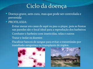 Ciclo da doença
 Doença grave, sem cura, mas que pode ser controlada e
  prevenida
 PROFILAXIA:
   Evitar morar em casas de sapé ou pau-a-pique, pois as frestas
    nas paredes são o local ideal para a reprodução dos barbeiros
   Combater o barbeiro com inseticidas, telas e outros
   Tratar e isolar os doentes
   Fiscalizar bancos de sangue para evitar a transmissão por
    transfusão sanguínea ou transplante de órgãos.
 