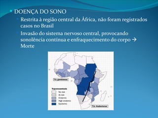  DOENÇA DO SONO
   Restrita à região central da África, não foram registrados
    casos no Brasil
   Invasão do sistema nervoso central, provocando
    sonolência contínua e enfraquecimento do corpo 
    Morte
 