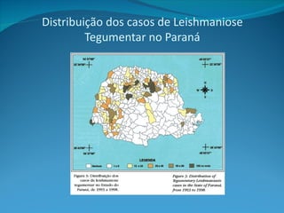 Distribuição dos casos de Leishmaniose
         Tegumentar no Paraná
 