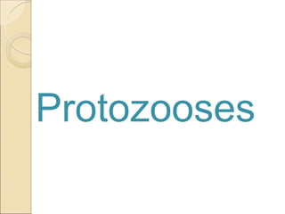 Protozooses
 
