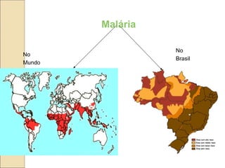 Malária
No
Mundo
No
Brasil
 