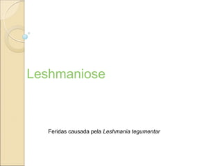 Leshmaniose
Feridas causada pela Leshmania tegumentar
 