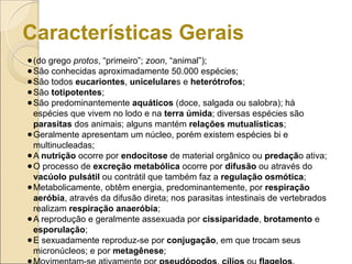 Características Gerais
●(do grego protos, “primeiro”; zoon, “animal”);
●São conhecidas aproximadamente 50.000 espécies;
●São todos eucariontes, unicelulares e heterótrofos;
●São totipotentes;
●São predominantemente aquáticos (doce, salgada ou salobra); há
espécies que vivem no lodo e na terra úmida; diversas espécies são
parasitas dos animais; alguns mantém relações mutualísticas;
●Geralmente apresentam um núcleo, porém existem espécies bi e
multinucleadas;
●A nutrição ocorre por endocitose de material orgânico ou predação ativa;
●O processo de excreção metabólica ocorre por difusão ou através do
vacúolo pulsátil ou contrátil que também faz a regulação osmótica;
●Metabolicamente, obtêm energia, predominantemente, por respiração
aeróbia, através da difusão direta; nos parasitas intestinais de vertebrados
realizam respiração anaeróbia;
●A reprodução e geralmente assexuada por cissiparidade, brotamento e
esporulação;
●E sexuadamente reproduz-se por conjugação, em que trocam seus
micronúcleos; e por metagênese;
●
 