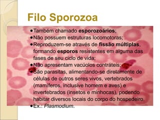 Filo Sporozoa
●Também chamado esporozoários;
●Não possuem estruturas locomotoras;
●Reproduzem-se através de fissão múltiplas,
formando esporos resistentes em alguma das
fases de seu ciclo de vida;
●Não apresentam vacúolos contráteis;
●São parasitas, alimentando-se diretamente de
células de outros seres vivos, vertebrados
(mamíferos, inclusive homem e aves) e
invertebrados (insetos e minhocas), podendo
habitar diversos locais do corpo do hospedeiro.
●Ex.: Plasmodium.
 