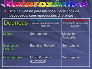 Ciclo de vida do parasita possui dois tipos de
hospedeiros, com reproduções diferentes.
Doenças
Hospedeiro intermediário
(reprodução assexuada do
parasita)
Hospedeiro definitivo
(reprodução sexuada do
parasita)
Malária Ser humano Mosquito
Anopheles
Doença de
Chagas
Barbeiro (Triatoma) Ser humano
Leishmaniose Mosquito-palha
(Lutzomyia)
Ser humano
 