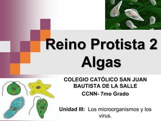 Reino Protista 2
Algas
COLEGIO CATÓLICO SAN JUAN
BAUTISTA DE LA SALLE
CCNN- 7mo Grado
Unidad III: Los microorganismos y los
virus.
 