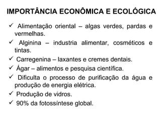 IMPORTÂNCIA ECONÔMICA E ECOLÓGICA
 Alimentação oriental – algas verdes, pardas e
 vermelhas.
 Alginina – industria alimentar, cosméticos e
 tintas.
 Carregenina – laxantes e cremes dentais.
 Ágar – alimentos e pesquisa científica.
 Dificulta o processo de purificação da água e
 produção de energia elétrica.
 Produção de vidros.
 90% da fotossíntese global.
 
