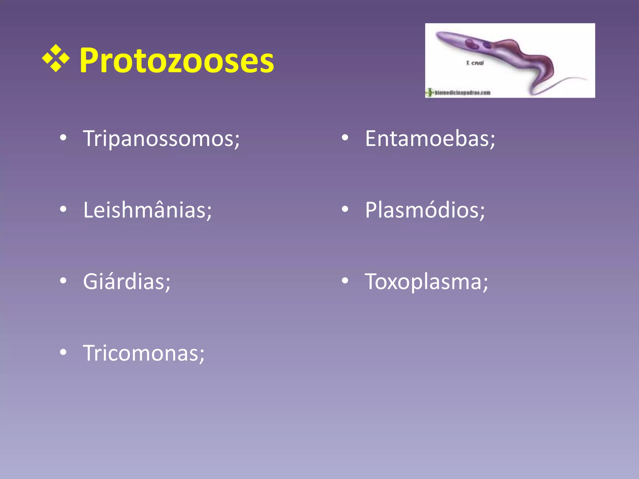 Protozooses
• Tripanossomos;
• Leishmânias;
• Giárdias;
• Tricomonas;
• Entamoebas;
• Plasmódios;
• Toxoplasma;