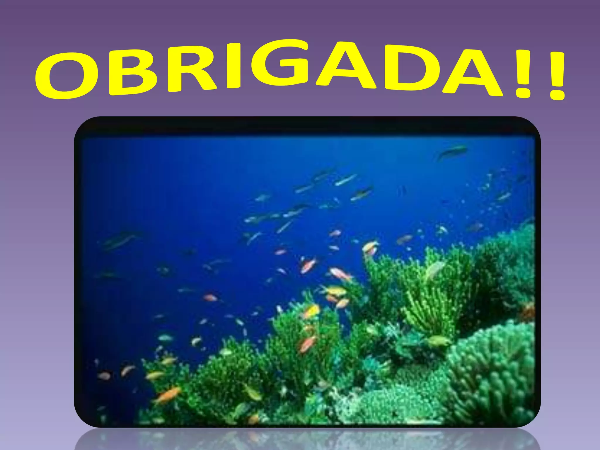 Reino Protista - Escola APP - Jardim MS - Ensino Médio