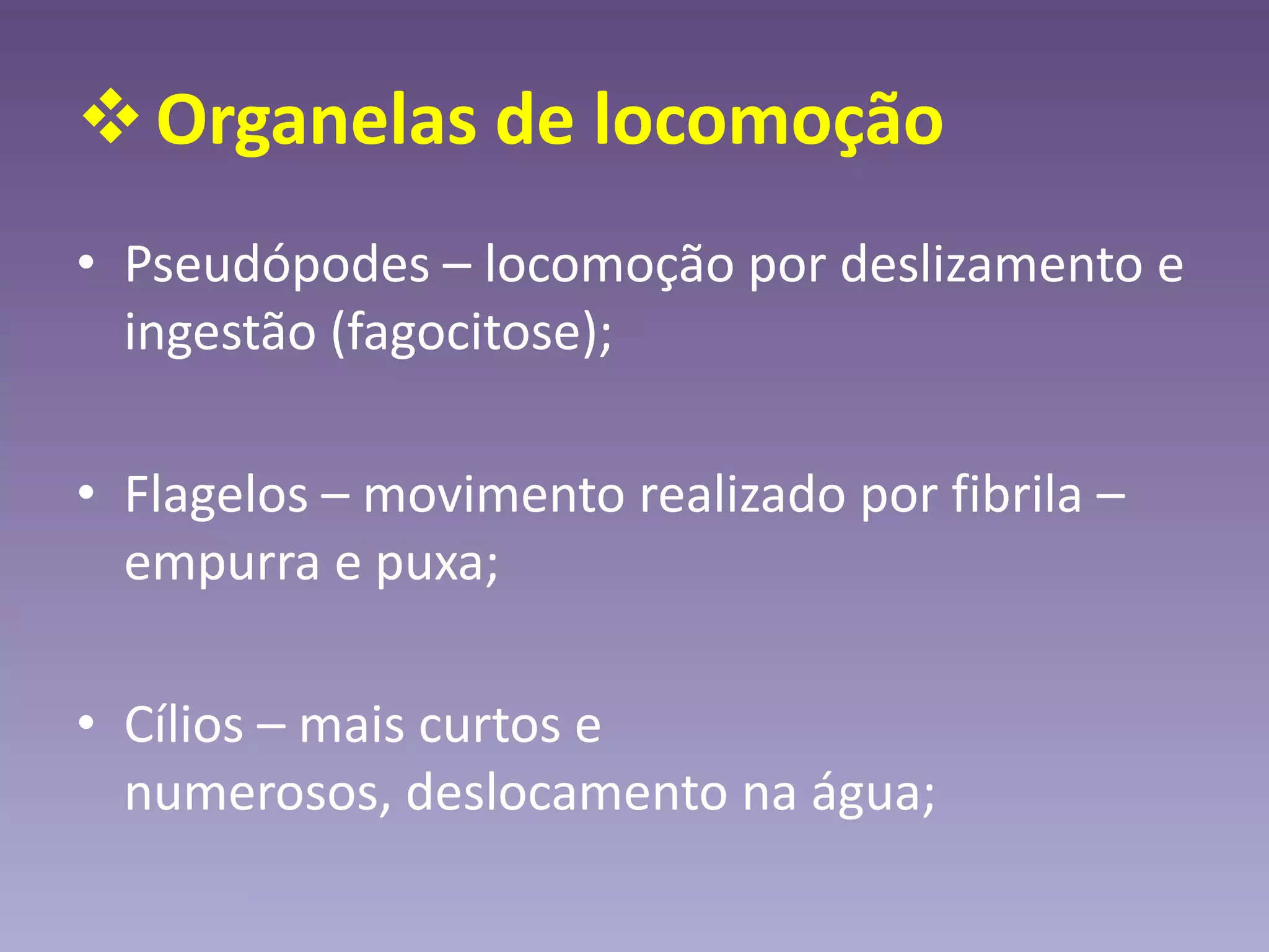 Organelas de locomoção
• Pseudópodes – locomoção por deslizamento e
ingestão (fagocitose);
• Flagelos – movimento realizado por fibrila –
empurra e puxa;
• Cílios – mais curtos e
numerosos, deslocamento na água;