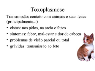 Toxoplasmose
Transmissão: contato com animais e suas fezes
(principalmente...)
• cistos: nos pêlos, na areia e fezes
• sintomas: febre, mal-estar e dor de cabeça
• problemas de visão parcial ou total
• grávidas: transmissão ao feto

 